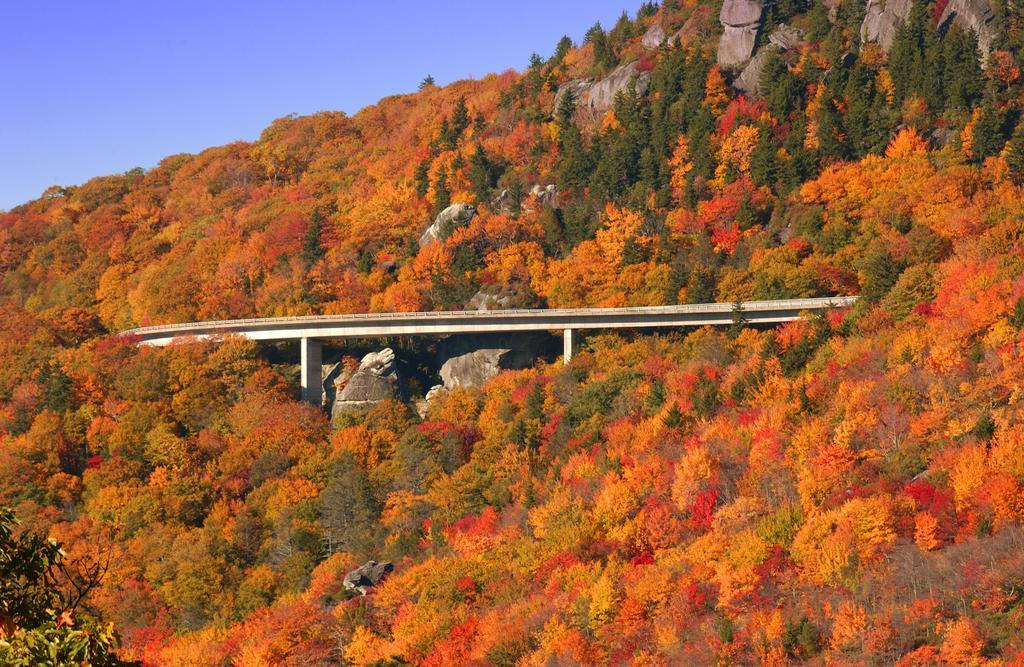 Hampton Inn Asheville - Biltmore Area 外观 照片